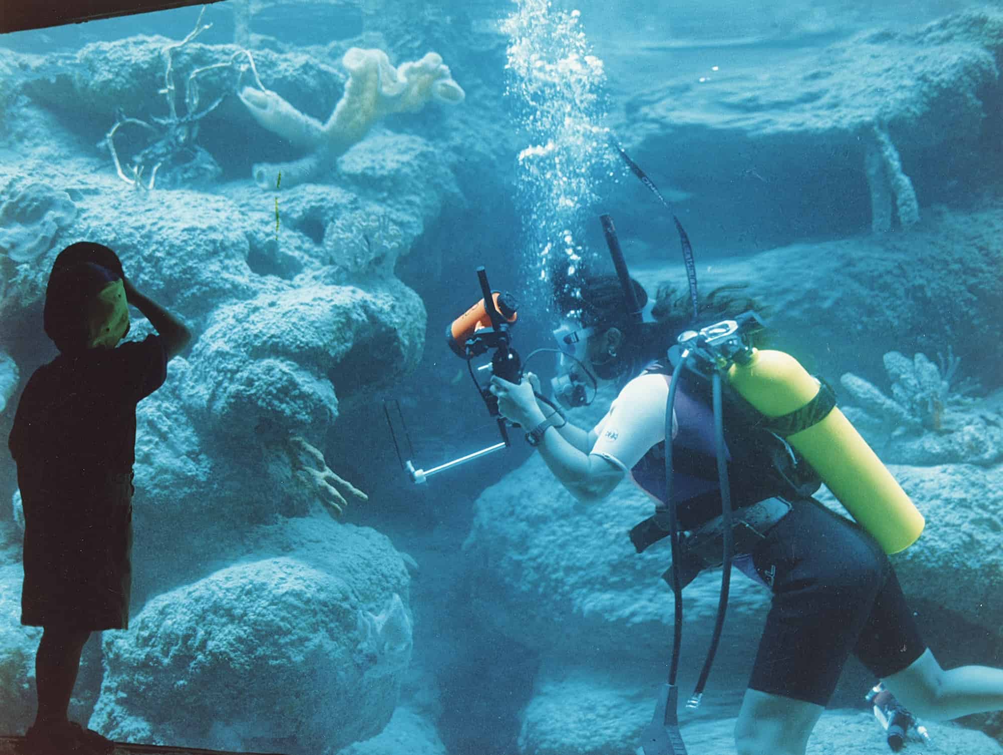 Female diver inside aquarium