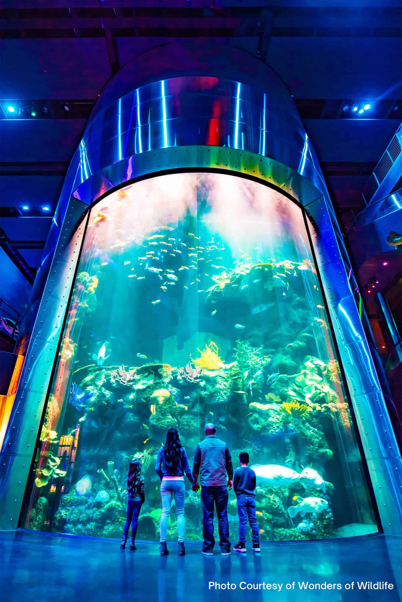 Beautiful giant aquarium display