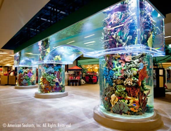 Sideview of the Scheels Sporting Goods storefront aquarium display
