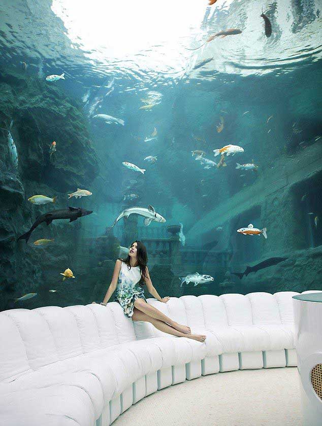 lady on a couch with aquarium background
