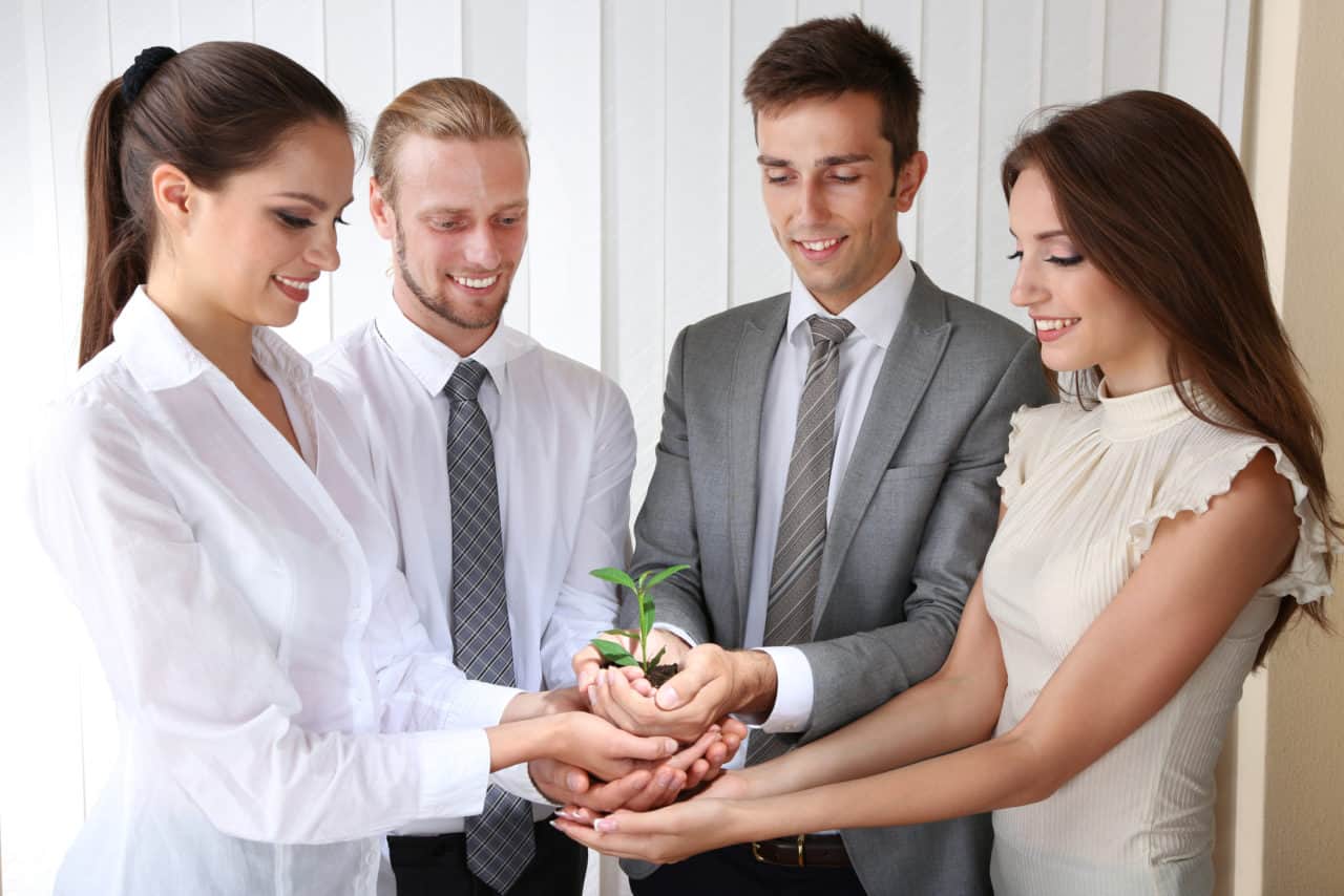 Business team holding together fresh green sprout