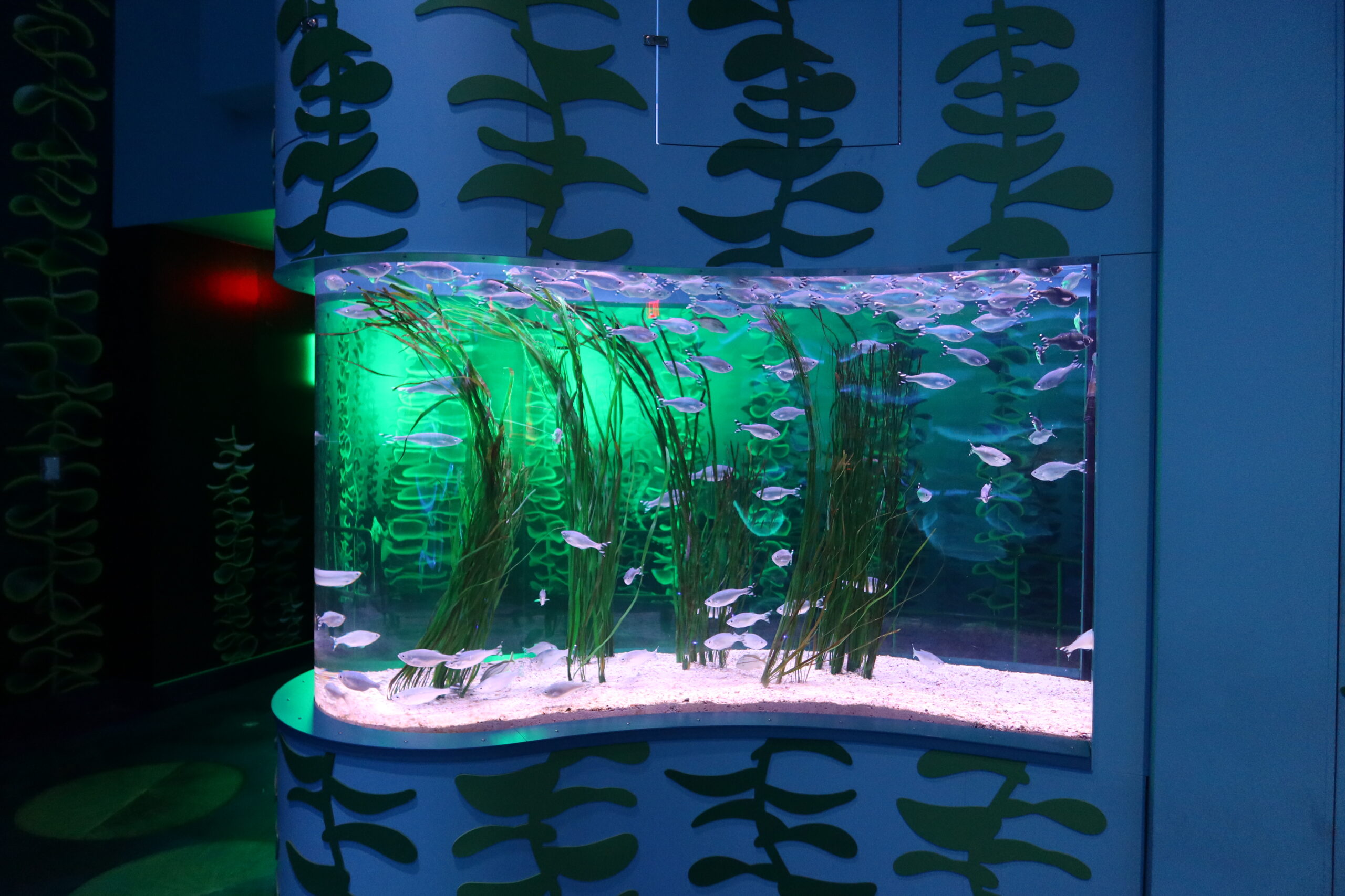 Aquarium at the Boardwalk, MO, USA American Sealants. Inc