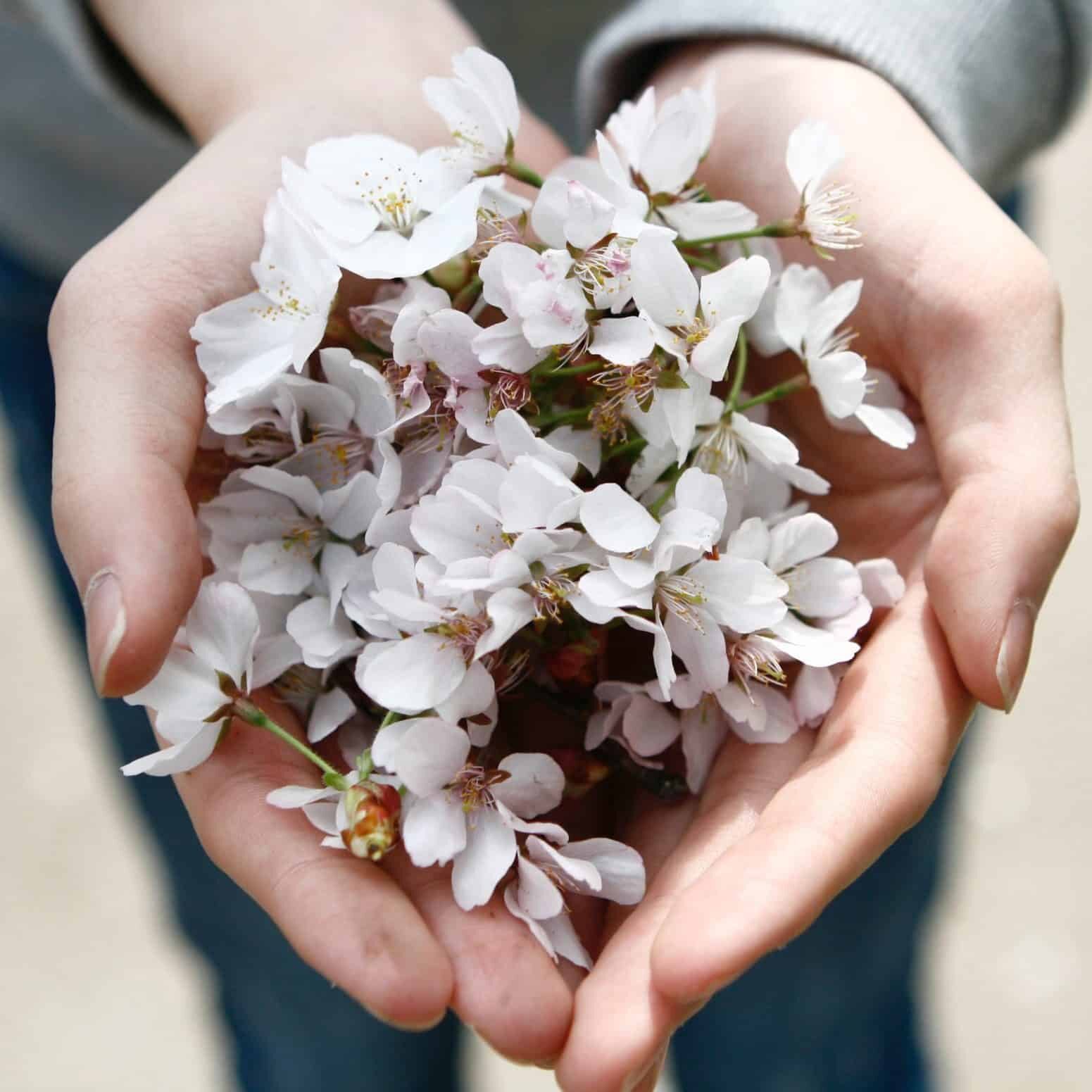 flowers on hands
